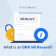 What is a DNS NS Record