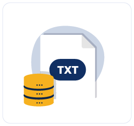 TXT record checker