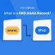 What is a DNS AAAA Record