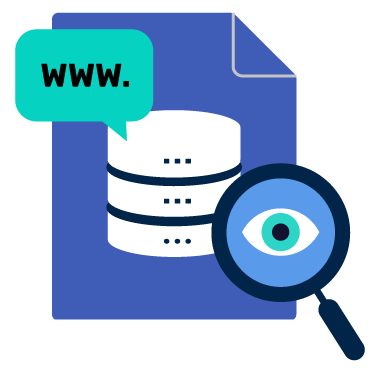 What is a DNS Lookup