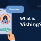 What is Vishing 01