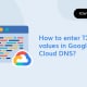 How to enter TXT values in Google Cloud DNS
